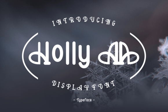 Holly Aa: A Display Font with Editorial Grace