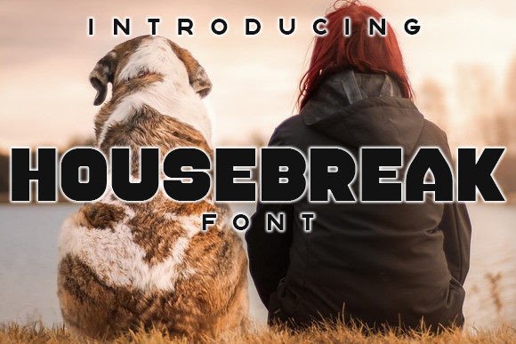 Housebreak: A Stylish Font for Handmade Creations